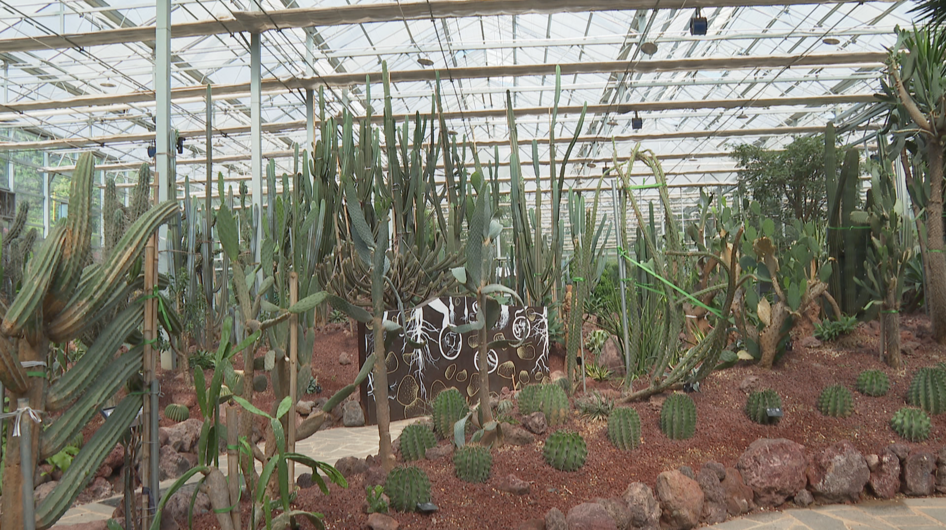 免费科普盛宴点燃暑期 省植物园邀你探秘奇趣自然