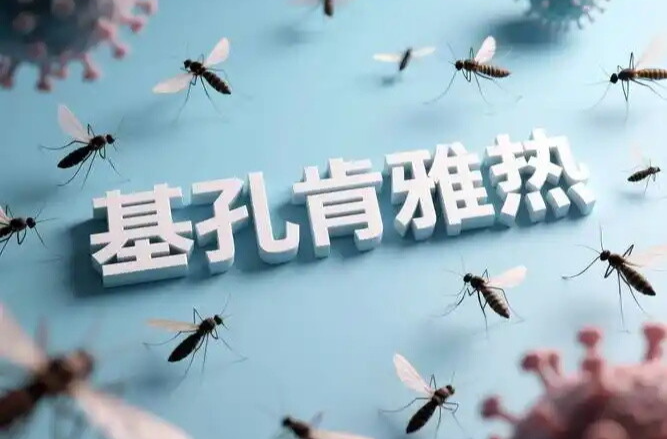 新版诊疗方案发布 关于基孔肯雅热专家研判