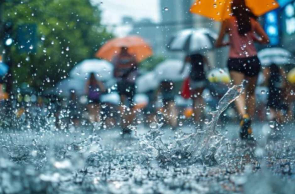 湖南发布汛情提醒：10日至13日，湘北部分地区大到暴雨，需加强防范