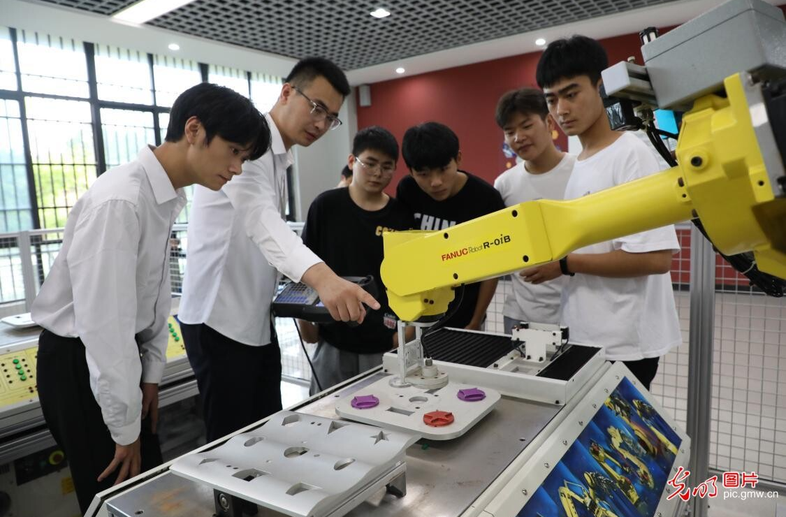 “本升专”“大学生回炉”背后，青年成才不追学历追技能