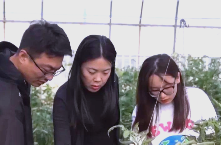 高校毕业生到基层就业，有学费补偿吗？人社部回应