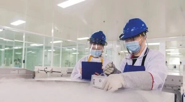 科技为刃，湖南生物医药器械勇闯“高端局”