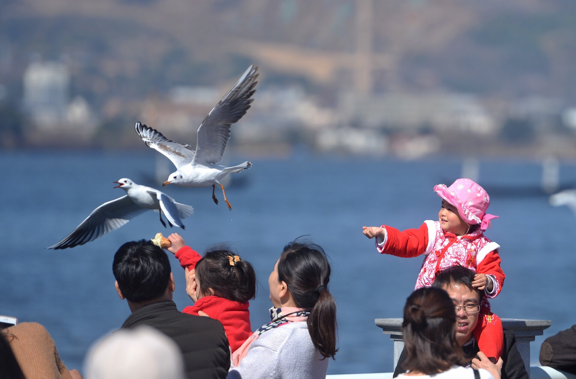 坚持党的全面领导 为实现高质量发展提供根本保证——“十四五”时期经济社会发展实践与启示述评之一