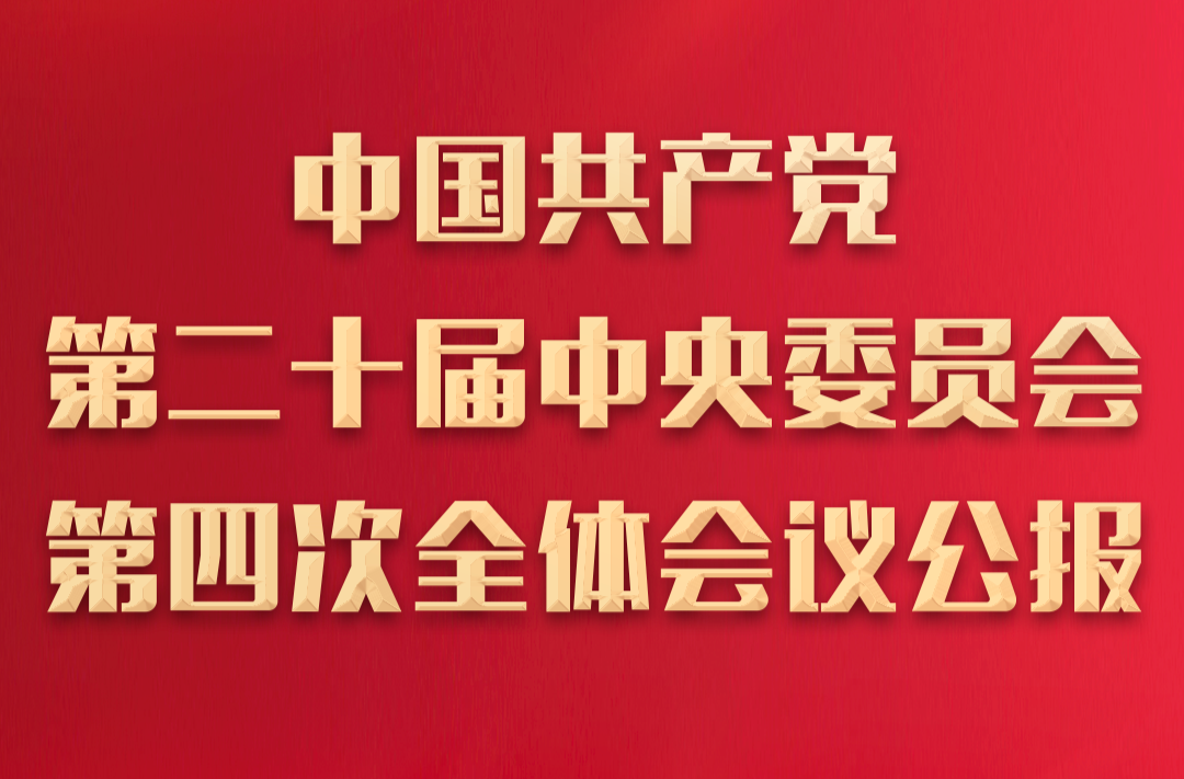 8个高频词，一起学习党的二十届四中全会公报