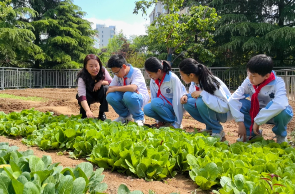 如何系统开展生态文明教育
