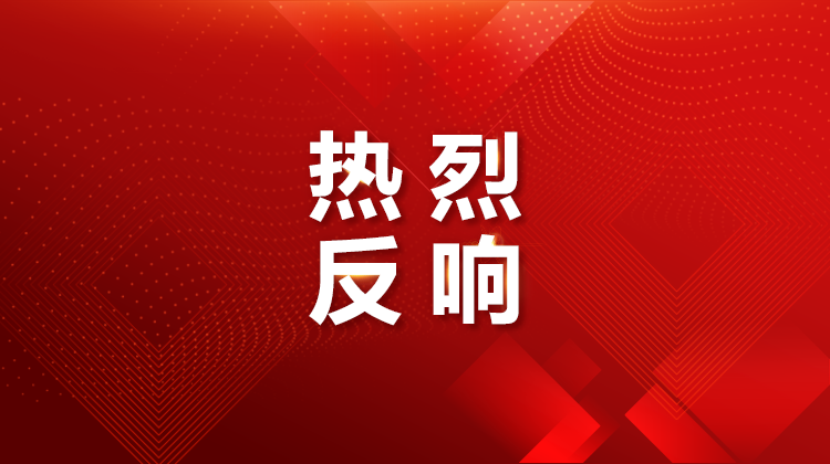 凝心聚力推动教育高质量发展 党的二十届四中全会精神在全省教育系统引发热烈反响