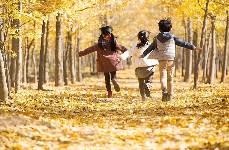 春秋假不该简单“一放了之”