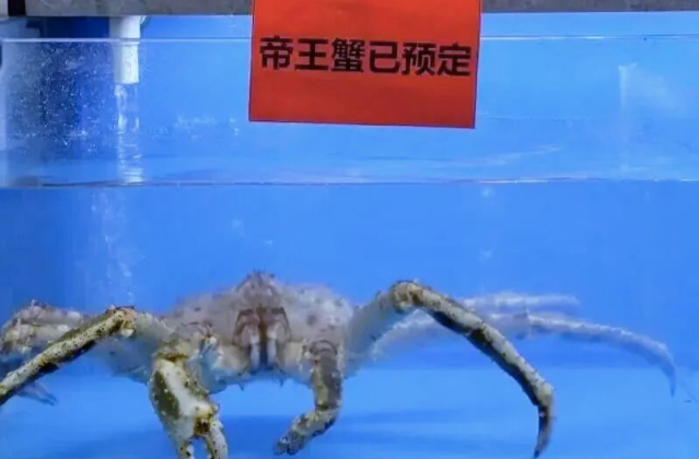 999元帝王蟹窗口调整后，高校食堂多元化服务如何破题？