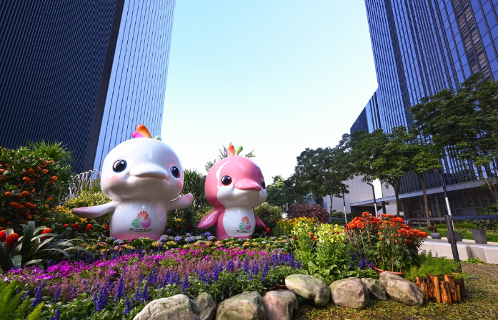 多位奥运冠军领衔，11月7日开始，湖南运动员十五运集中冲金