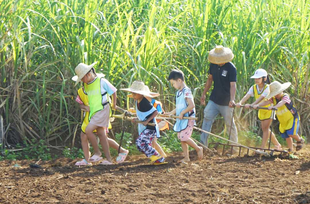 参加乡村研学 超八成受访家长表示孩子更知农爱农
