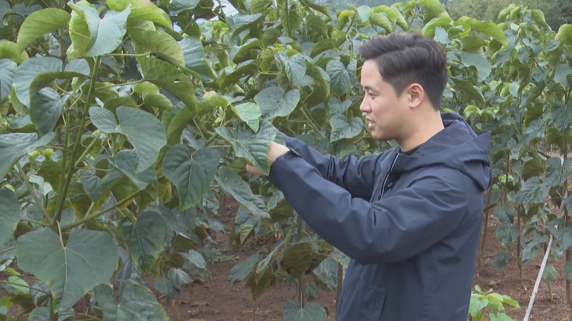 “创”享青春 “湘”当有为：郴州“young”起创业风  大学生在热土“种”梦想