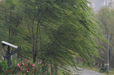 最大风力可达10级以上！长沙发布大风黄色预警