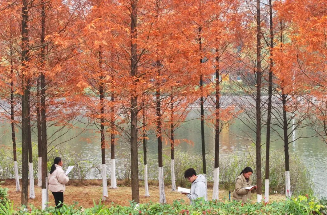 大学出现 “专业替课”服务？是偷懒还是无奈