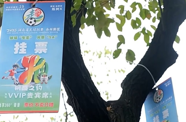 小城的“野生”球场比赛 为何能让全国网友追着看？