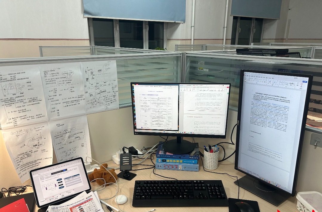 高校“青椒”之困：在荣耀光环与现实重压之间