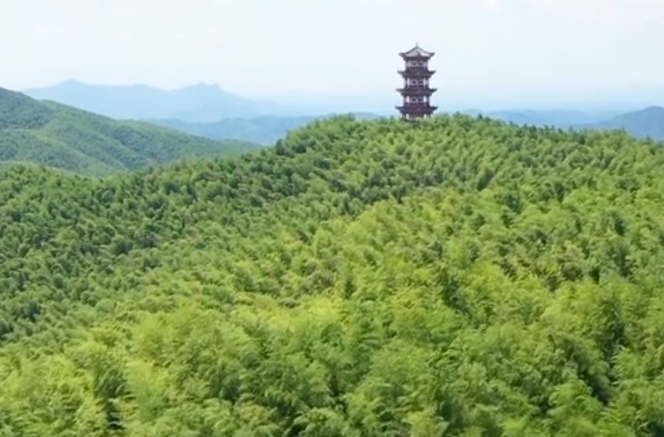 网络微短剧三等奖作品《衡州记忆系列》