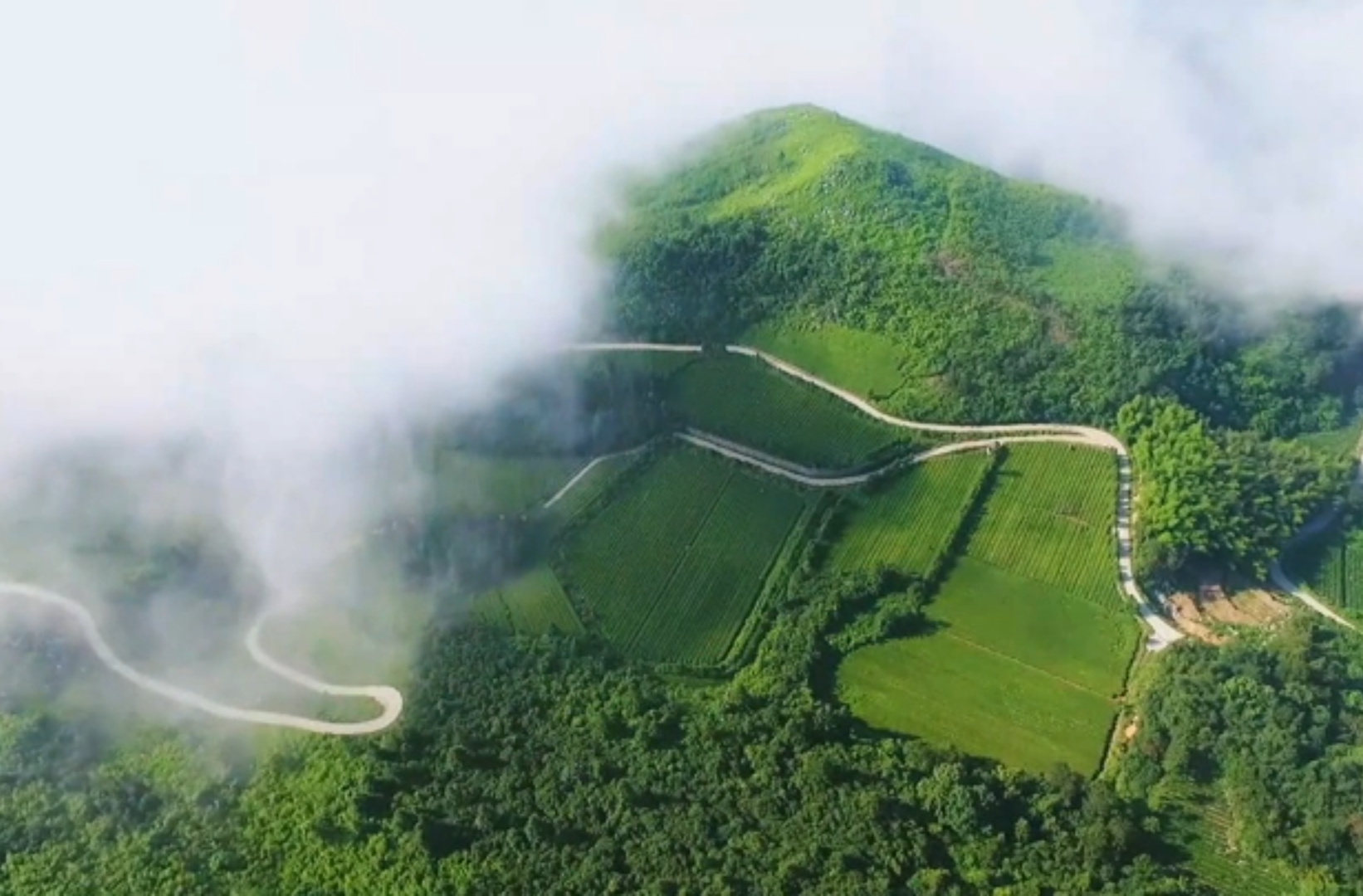 微党课、微宣讲、思政课二等奖作品《资水河畔黑茶韵 “三茶统筹”画卷新》