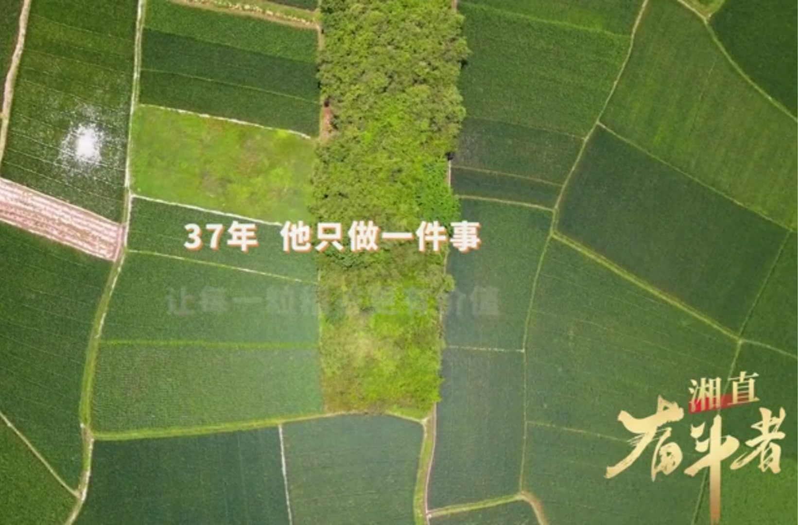 网络短视频二等奖作品《湘直奋斗者》