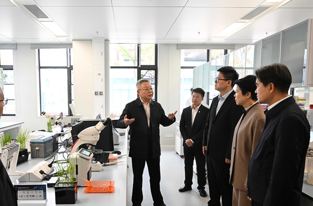 沈晓明调研“人工智能+生物育种”工作