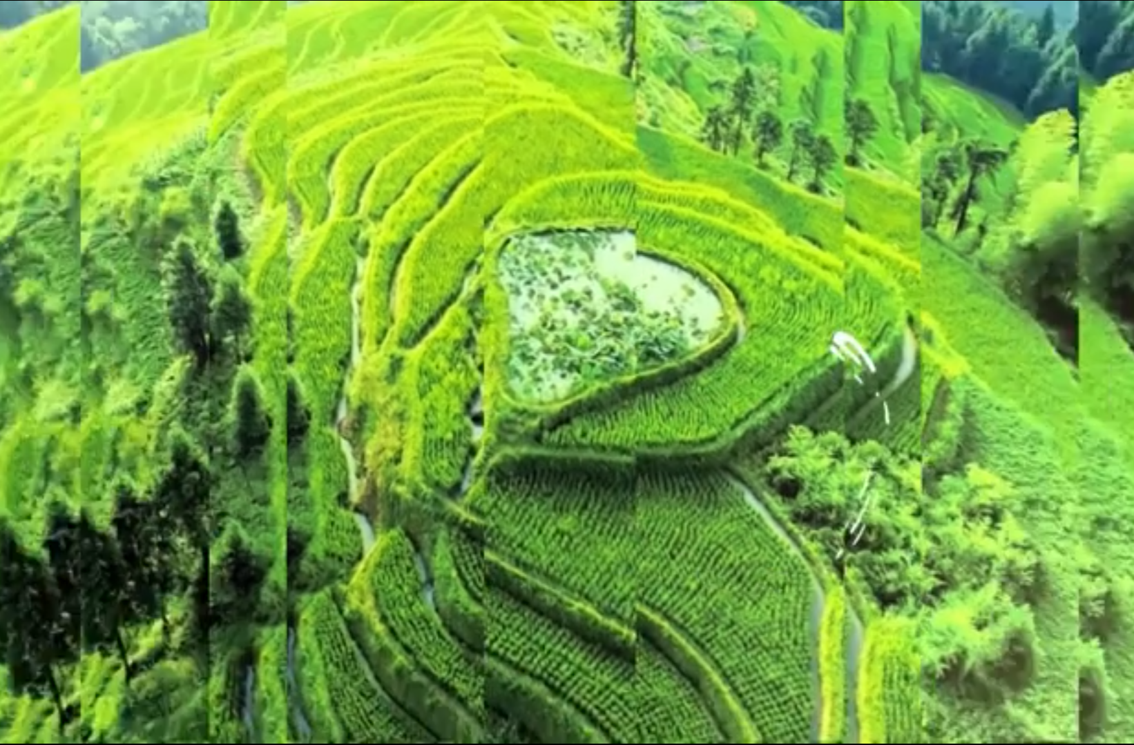 网络纪录片三等奖作品《世界看湖南—潇湘韵律汇东非》