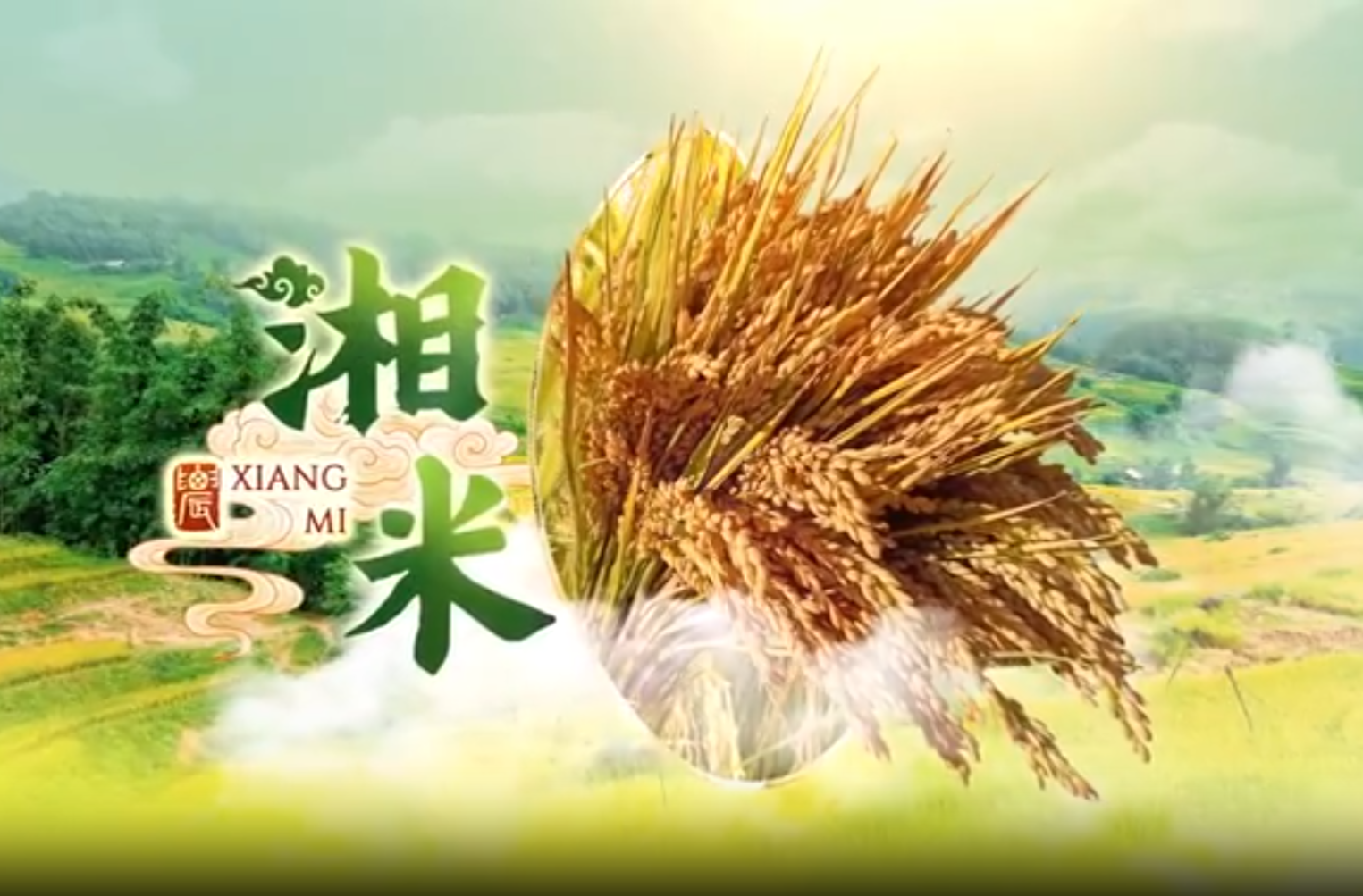 网络纪录片三等奖作品《湖南农业品牌系列宣传片——最美湘茶味》