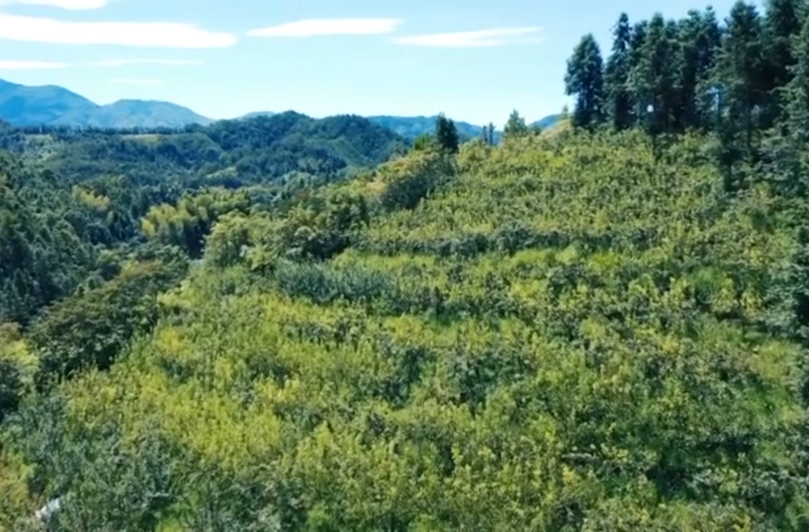 网络纪录片三等奖作品《 贡嘎 我的执念》