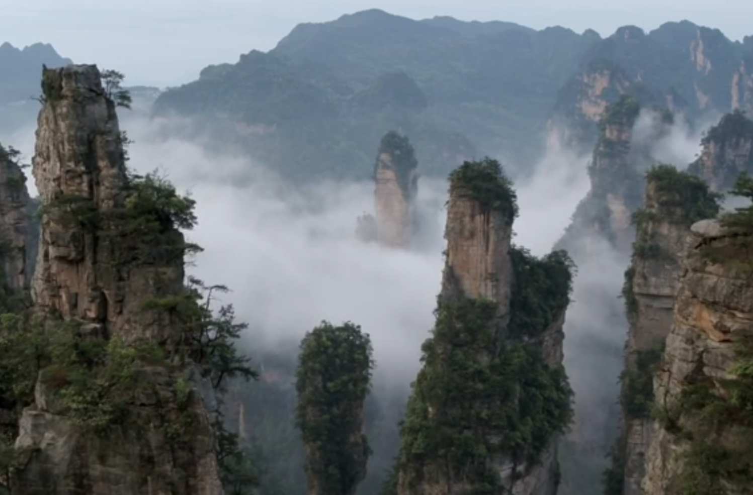 网络直播节目一等奖作品《直播湖南——听见国际张》