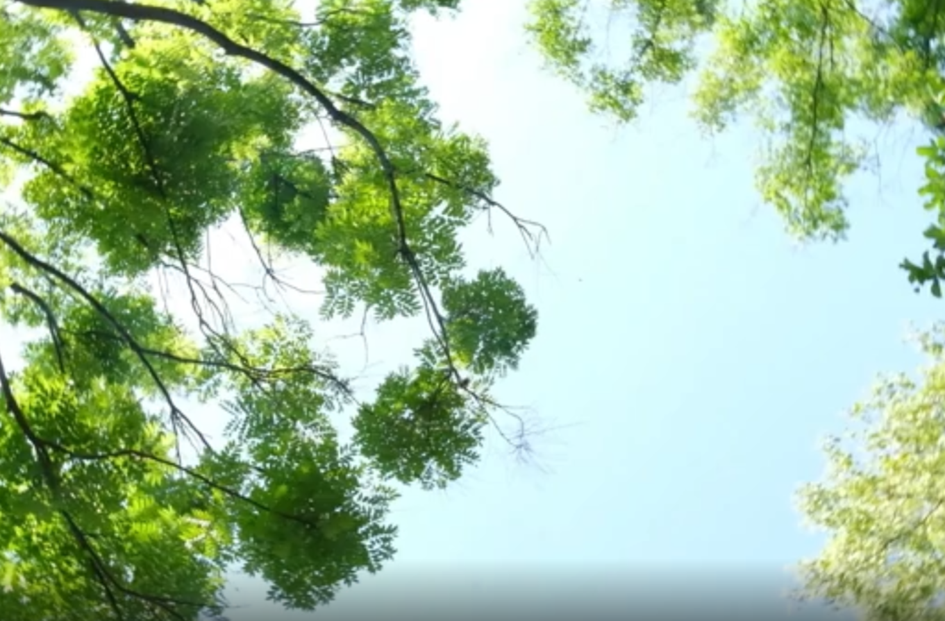 大学生剧情短片三等奖作品《湘阁流光》