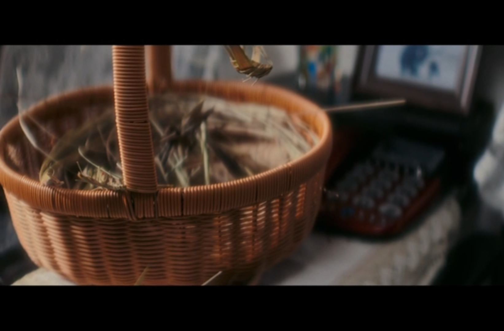 大学生剧情短片一等奖作品《一跃而生》