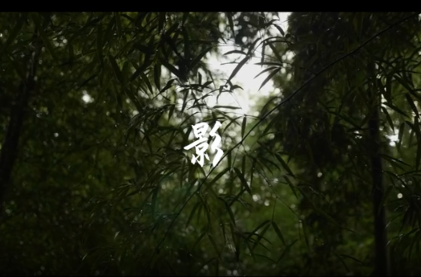 大学生纪实短片三等奖作品《竹隐：非遗造纸术》