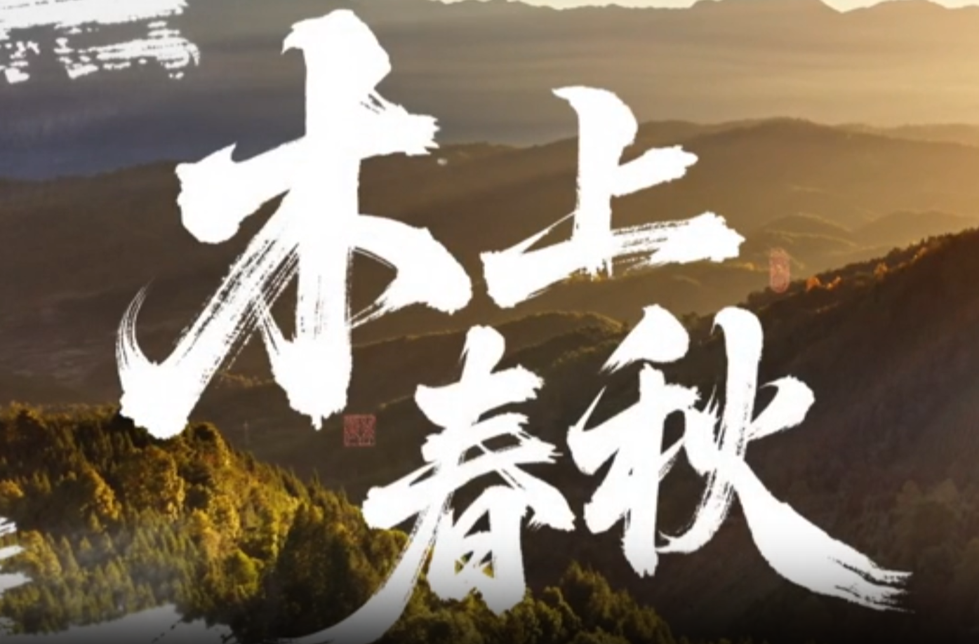 大学生公益短片、公益广告三等奖作品《木上春秋》