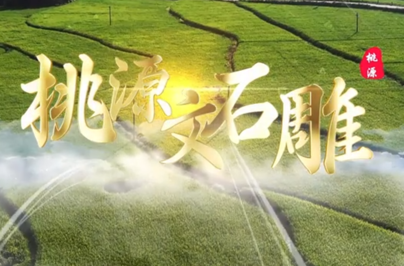 大学生纪实短片三等奖作品《桃源文石雕》