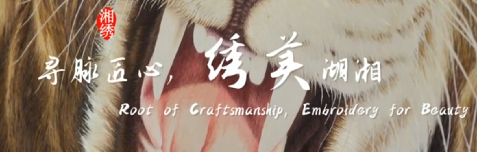 大学生纪实短片三等奖作品《寻脉匠心，绣美湖湘》