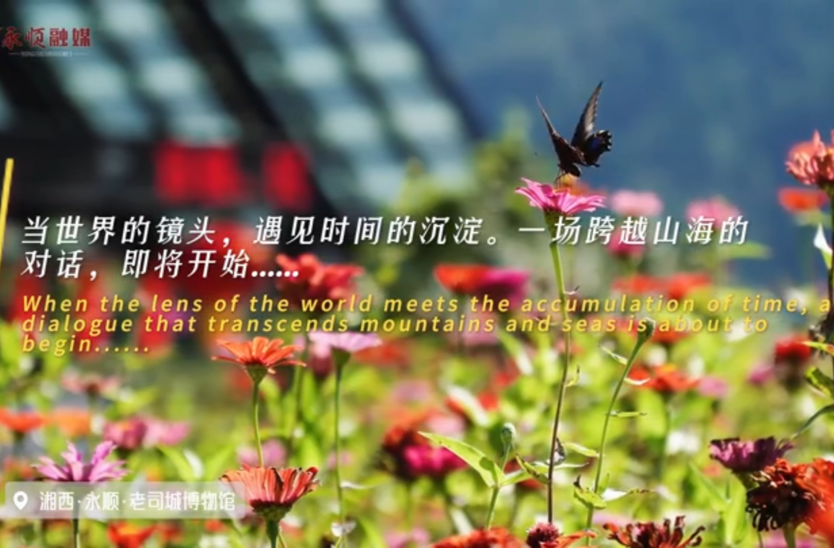 网络短视频三等奖作品《当世界文化遗产遇见世界摄影大师》