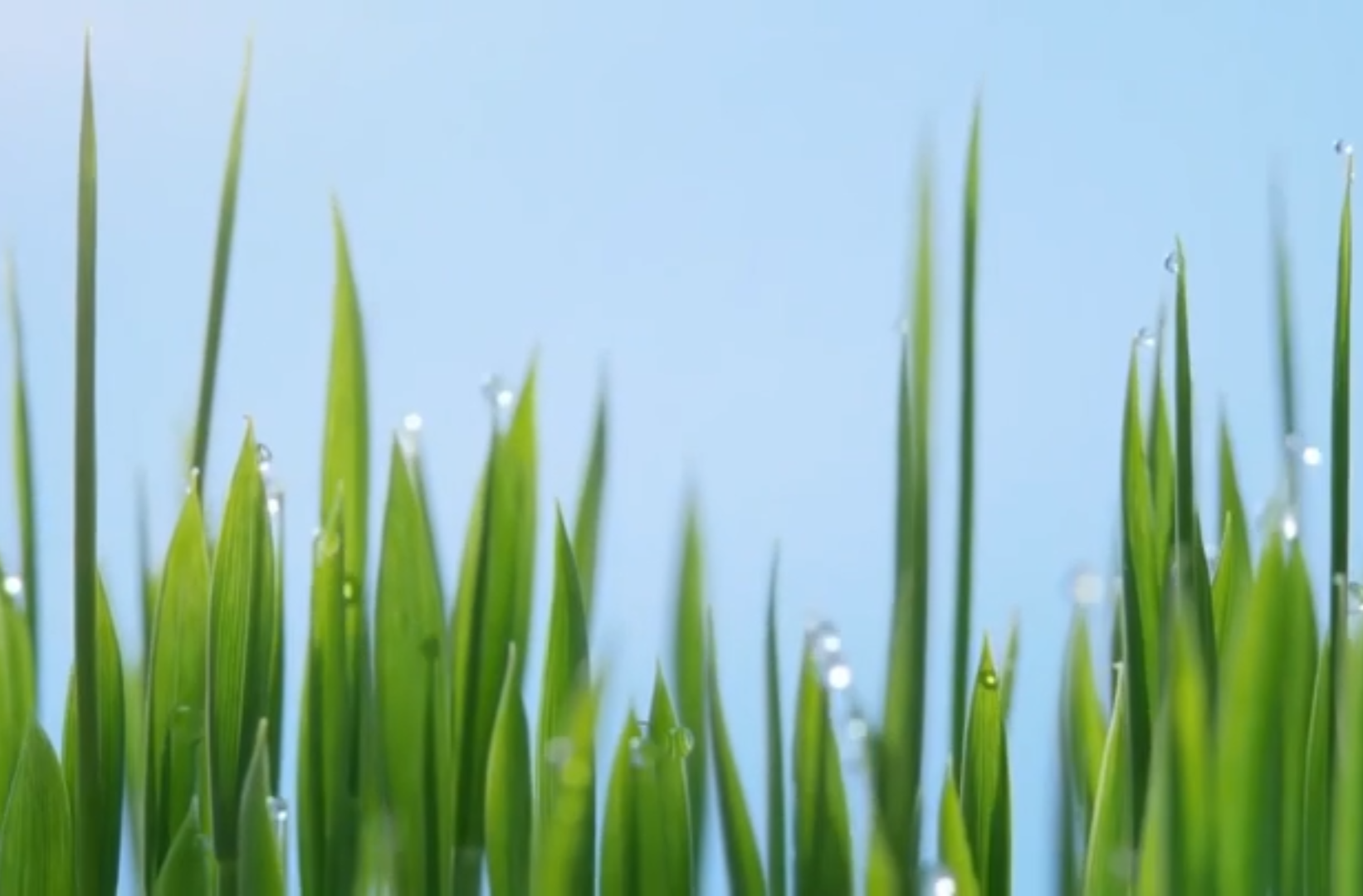 大学生纪实短片三等奖作品《一粒种子的传承与梦想》