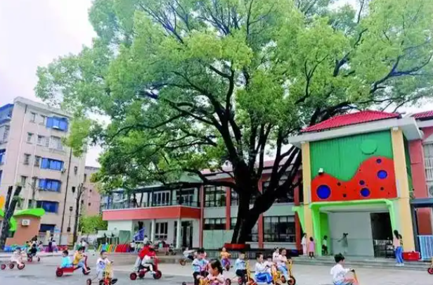 关注！这46所幼儿园被认定为湘潭市一级幼儿园