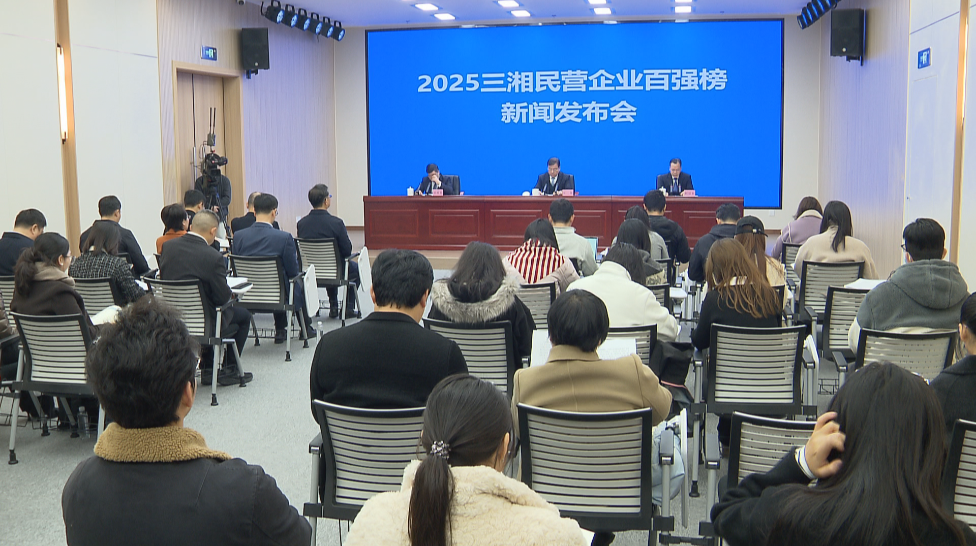 2025三湘民营企业百强榜单发布