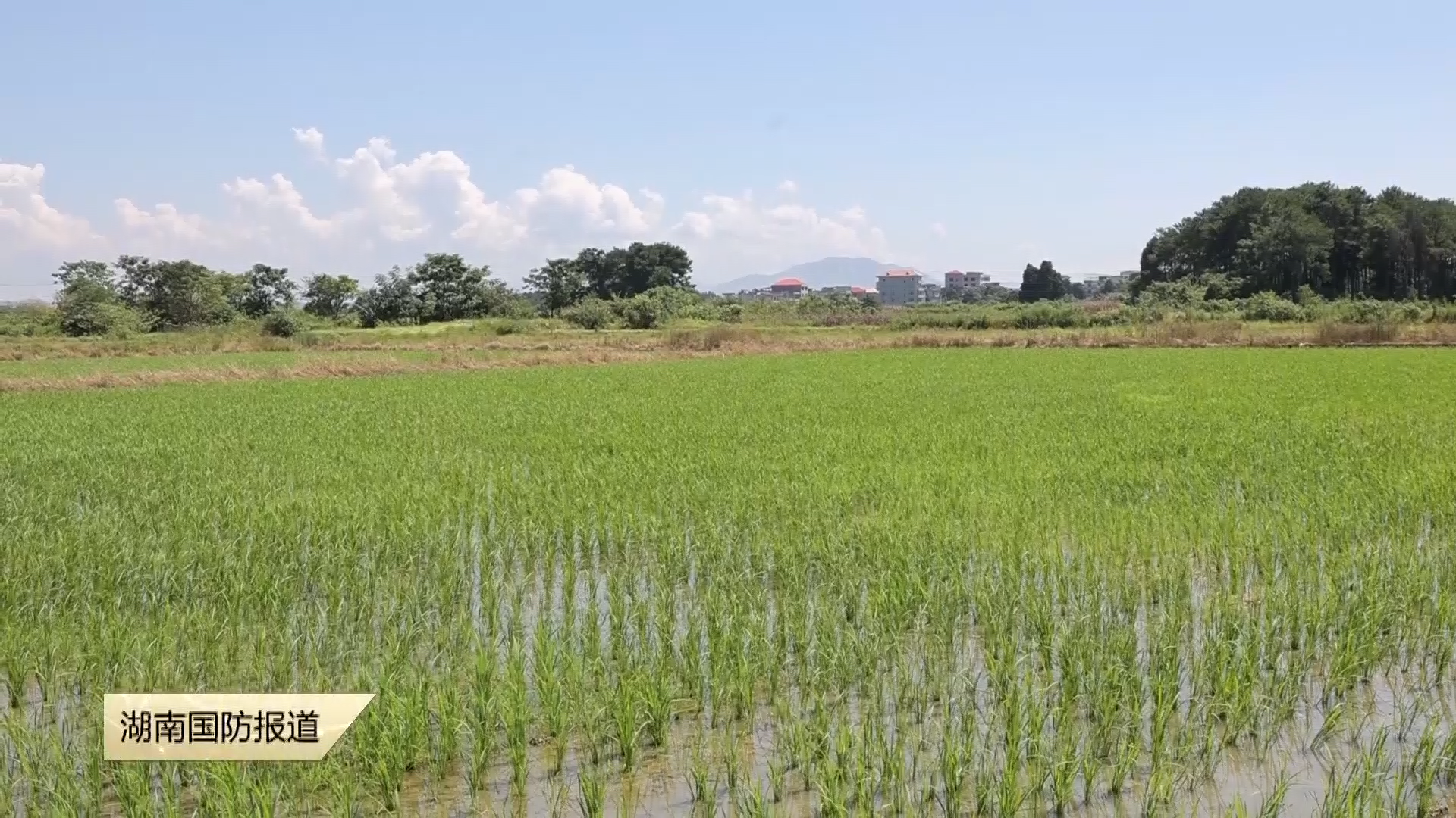 永州道县：退役军人用环保酵素“浇”出生态农业致富新路