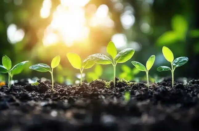 守望那一抹微弱的光