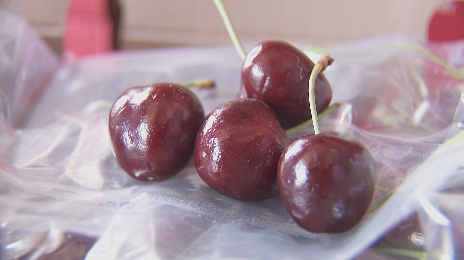 冬季“顶流”水果价格大跳水 市民实现车厘子自由