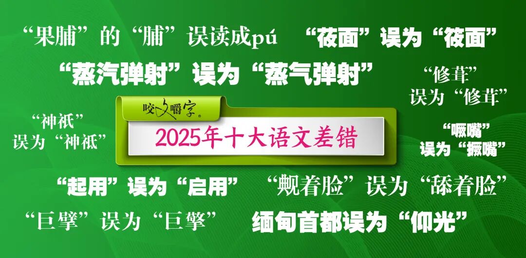 2025年十大语文差错公布