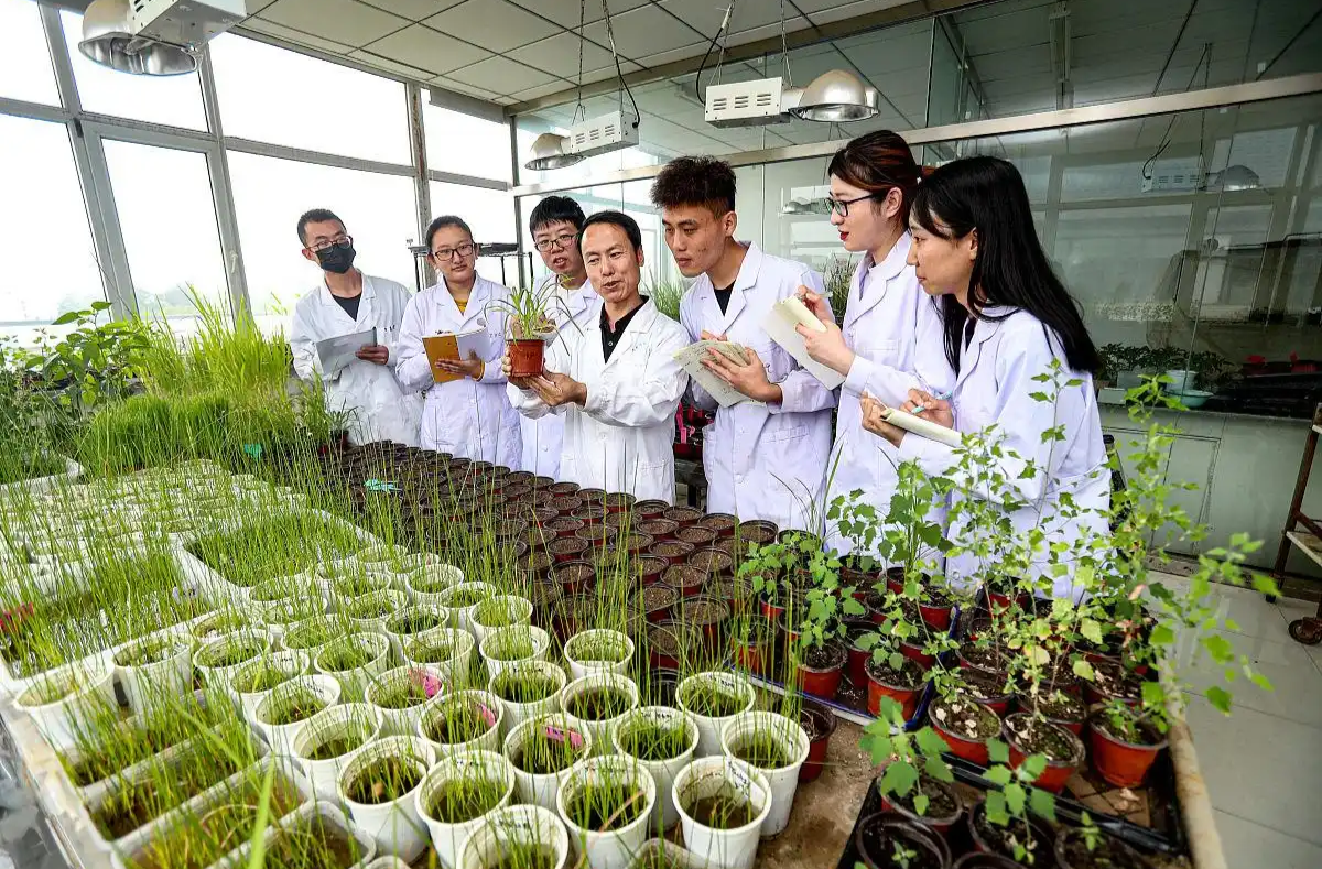 71.73%受访大学生关注“十五五”规划建议