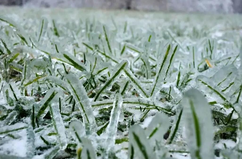 湖南省气象局启动低温雨雪冰冻三级应急响应