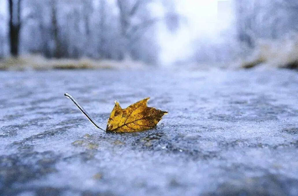 中央气象台冰冻、寒潮、暴雪三预警齐发，湖南局地大到暴雪→