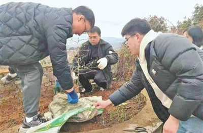 把论文写在大地上” 科技小院正扎根乡土茁壮生长