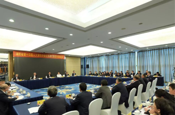 毛伟明参加株洲市代表团审议