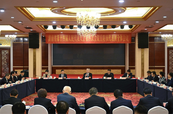 沈晓明参加岳阳市代表团审议