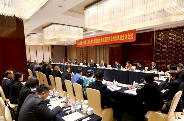 毛万春参加湘西州代表团审议