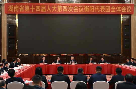 沈晓明参加衡阳市代表团审议