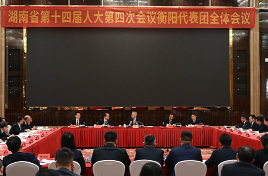 沈晓明参加衡阳市代表团审议